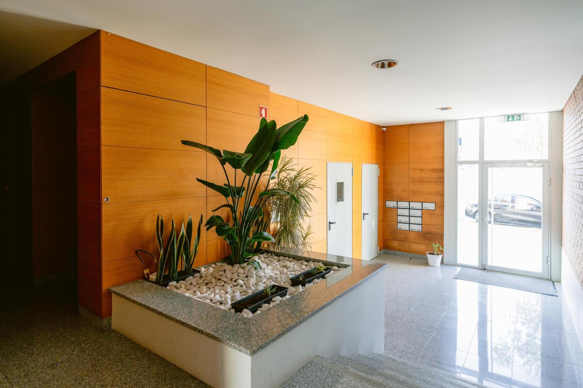 Apartament White Family House Aveiro Zewnętrze zdjęcie